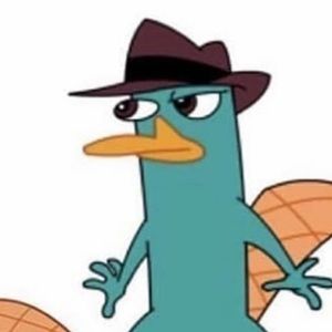 Meet your Posher, Luis